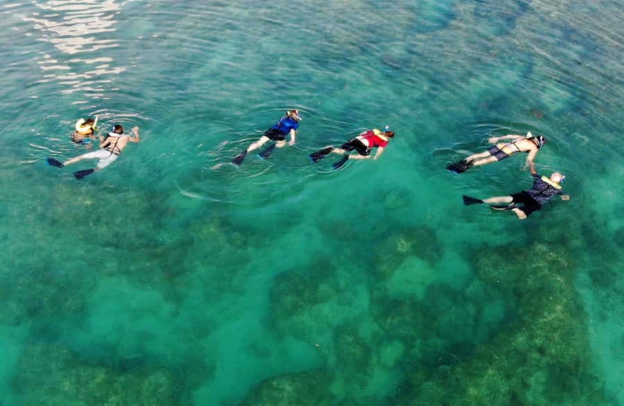 Key West: Reef Snorkel Morning Tour with Breakfast & Mimosas - Who should book this Key West snorkeling tour?