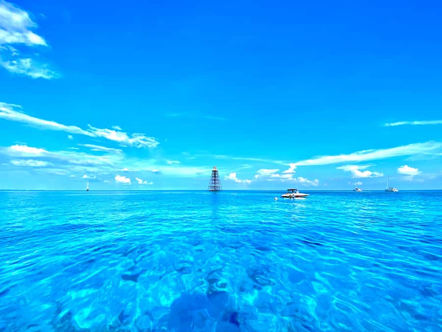 Key West: Reef Snorkel Morning Tour with Breakfast & Mimosas - A light breakfast before the snorkeling begins