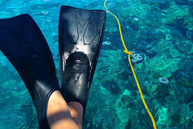 Key West Reef Snorkel & Sail Adventure - Why the small-group setup matters