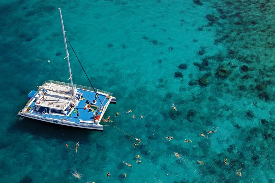 Key West: Reef Snorkeling with Drinks and Sunset Option - Key points to know before booking
