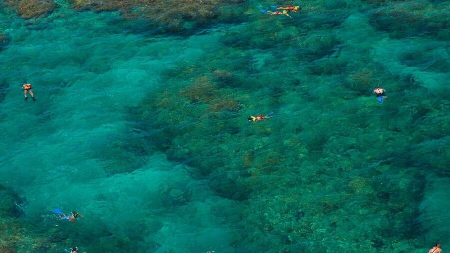Key West: Reef Snorkeling with Drinks and Sunset Option - The reef stop: colorful fish, changing conditions