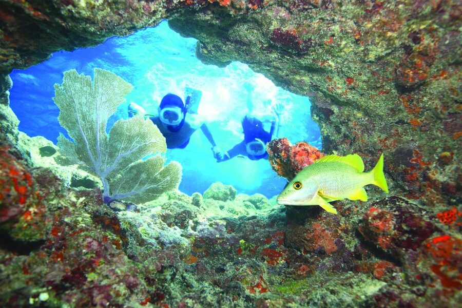 Key West: Reef Snorkeling with Drinks and Sunset Option - Timing, check-in, and cancellation details