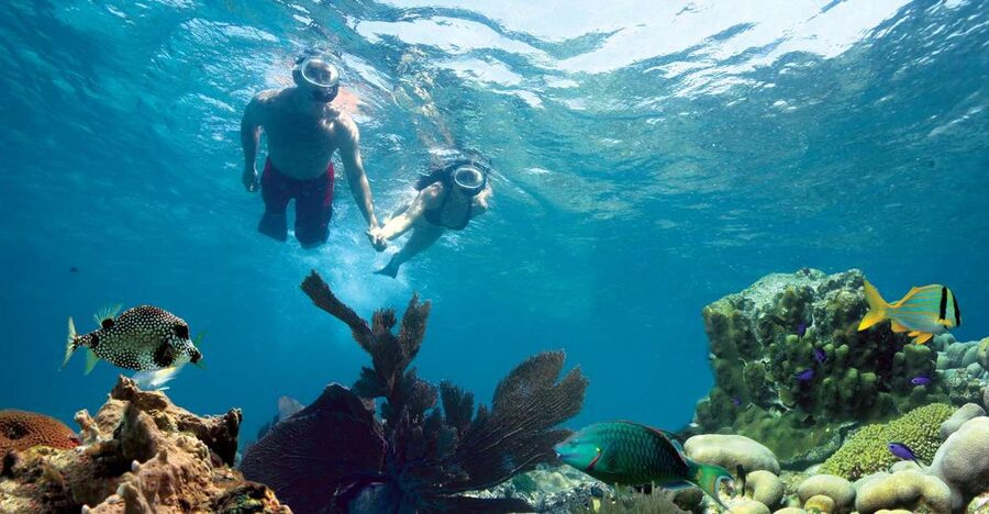 Key West: Reef Snorkeling with Drinks and Sunset Option - Choosing between morning, afternoon, and sunset