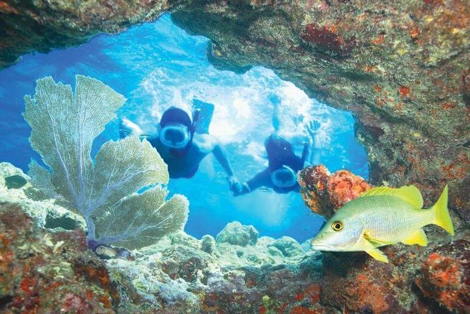 Key West Rum and Reggae: Reef Snorkel Adventure and Sunset Sail - How much value do you get for $59.95?