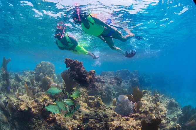 Key West Rum and Reggae: Reef Snorkel Adventure and Sunset Sail - Who will enjoy this Key West catamaran trip?