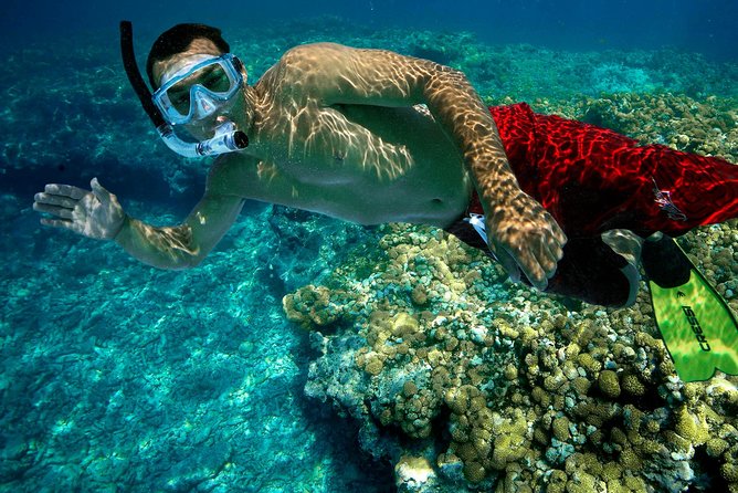 Key West Rum and Reggae: Reef Snorkel Adventure and Sunset Sail - What the 30 to 40 minute snorkel feels like