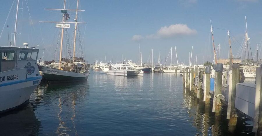 Key West Tour and Coral Reef Snorkeling with Open Bar - Snorkeling the Coral Reef by Sailing Catamaran