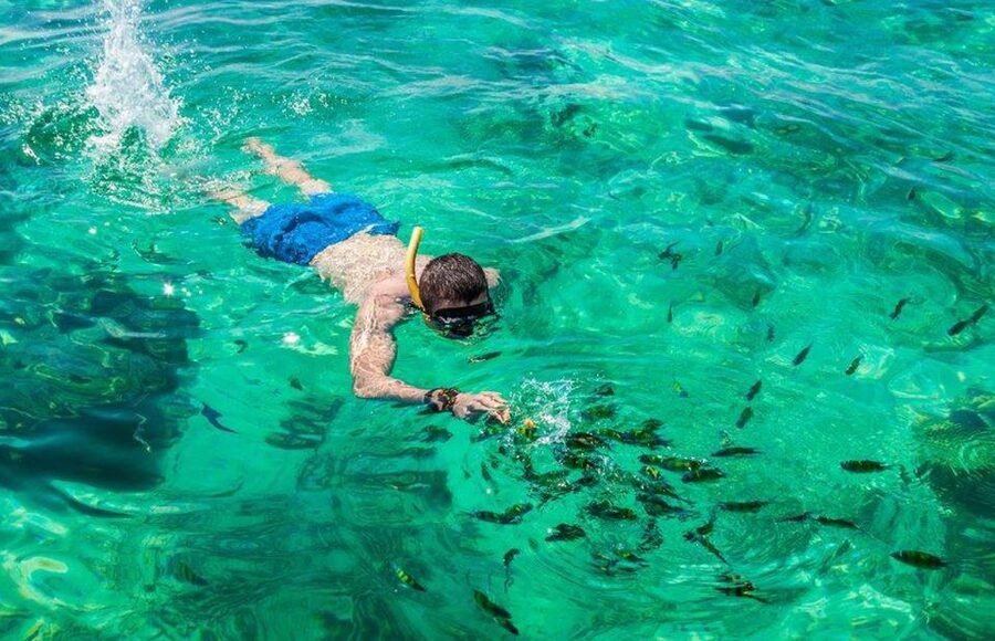 Khao Lak: Phi Phi Island, Maya Beach and Snorkeling Day Trip - What $110 buys you