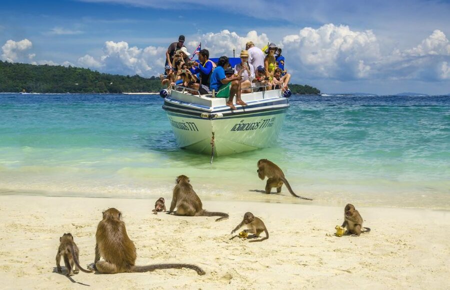 Khao Lak: Phi Phi Island, Maya Beach and Snorkeling Day Trip - Four snorkeling stops in clear water