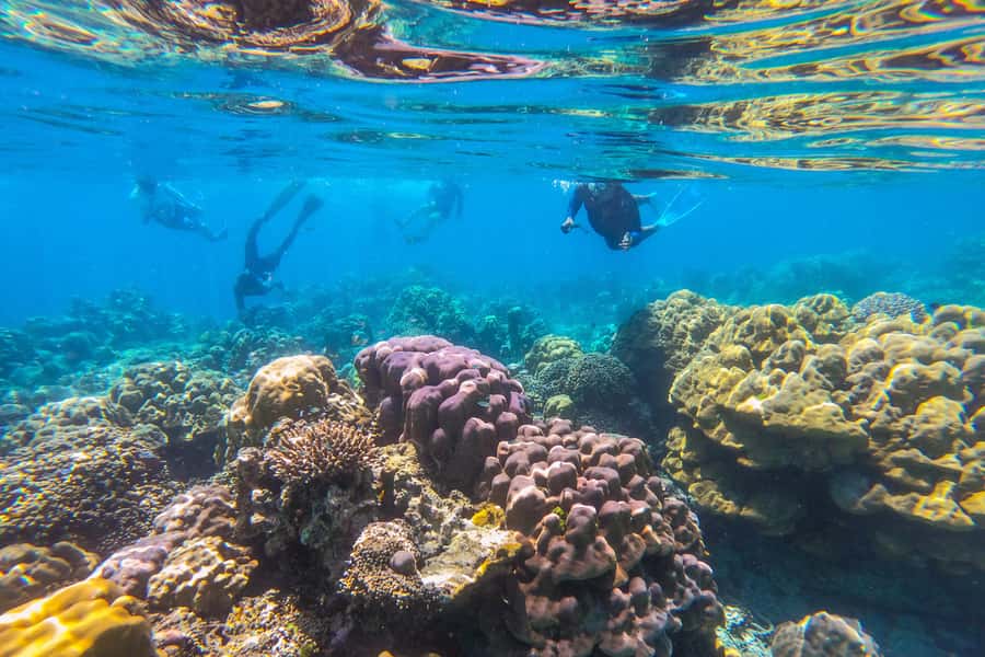 Khao Lak: Similan Islands Snorkeling Day Trip w/Meals - Sailboat Rock and Donald Duck Bay from the water
