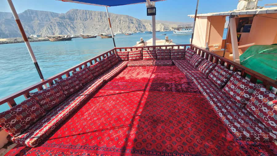 Khasab: Half-Day Dhow Cruise, Dolphin Watching, & Snorkeling - Who will enjoy this half-day cruise