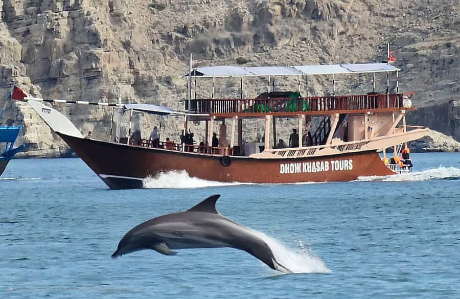 Khasab: Half-Day Dhow Cruise, Dolphin Watching, & Snorkeling - Meeting the crew and reaching the port