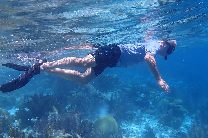 Klein Bonaire Marine Park Snorkeling Excursion - The second reef stop, with more time to look closely