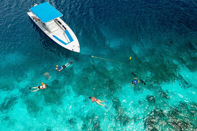 Klein Bonaire Marine Park Snorkeling Excursion - How beginner-friendly is it?