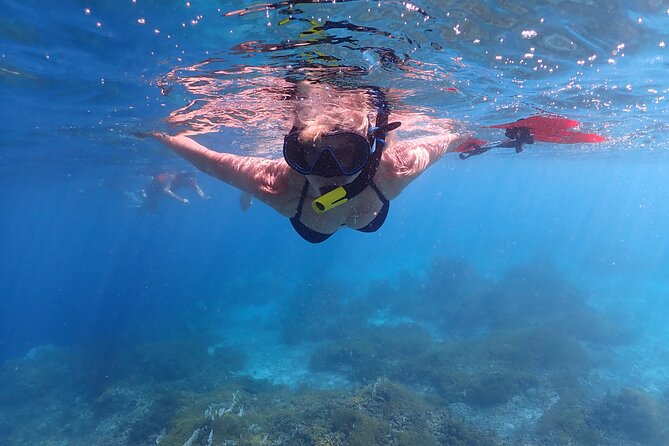 Klein Bonaire Marine Park Snorkeling Excursion - The first reef stop, where the guide sets the pace