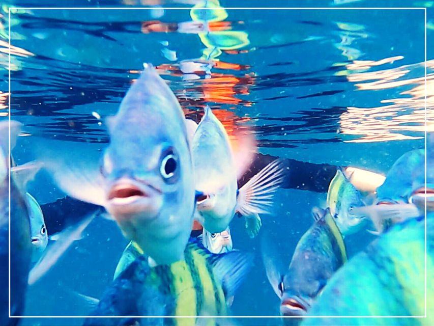 Ko Lanta: 4 Islands Snorkeling Tour by Longtail Boat - Ko Maa and the second chance to snorkel