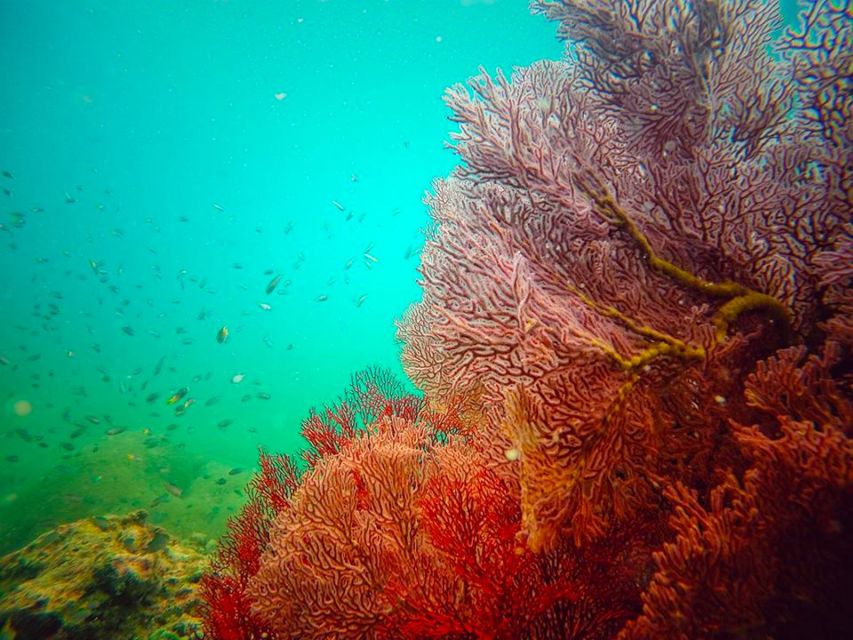 Ko Lanta: 4 Islands Snorkeling Tour by Longtail Boat - What the $31 price includes