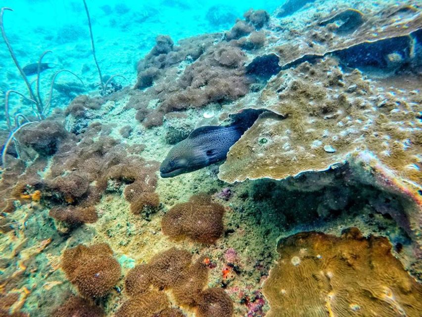 Ko Lanta: 4 Islands Snorkeling Tour by Longtail Boat - Morning pickup from Koh Lanta Yai