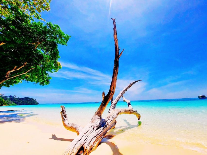 Ko Lanta: Koh Rok & Koh Haa Snorkelling Tour by Speedboat - Key points before you book