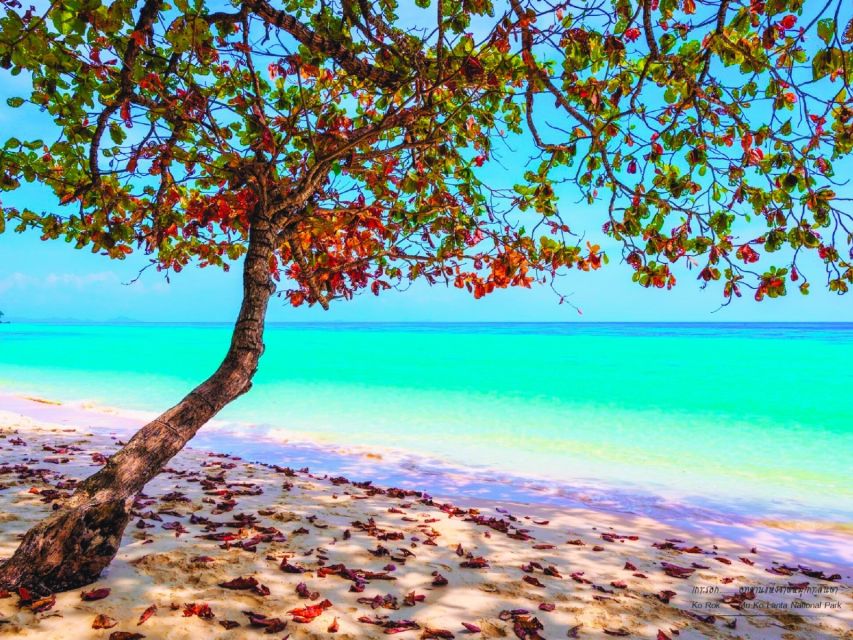 Ko Lanta: Koh Rok & Koh Haa Snorkelling Tour by Speedboat - Koh Haa: your first hour in the water