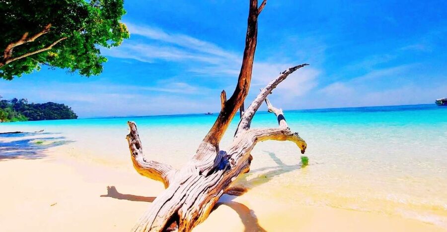 Ko Lanta: Koh Rok & Koh Haa Snorkelling Tour by Speedboat - An early pickup across Koh Lanta