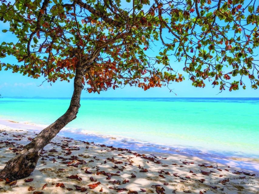 Ko Lanta: Private Longtail Rok Island Snorkeling Day Trip - A realistic look at the service