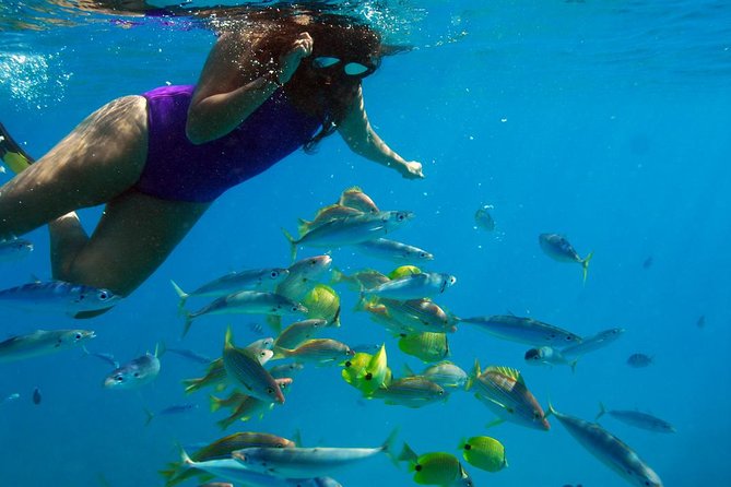 Ko Olina Catamaran Sail and Snorkel with Lunch - Who will enjoy this catamaran trip most