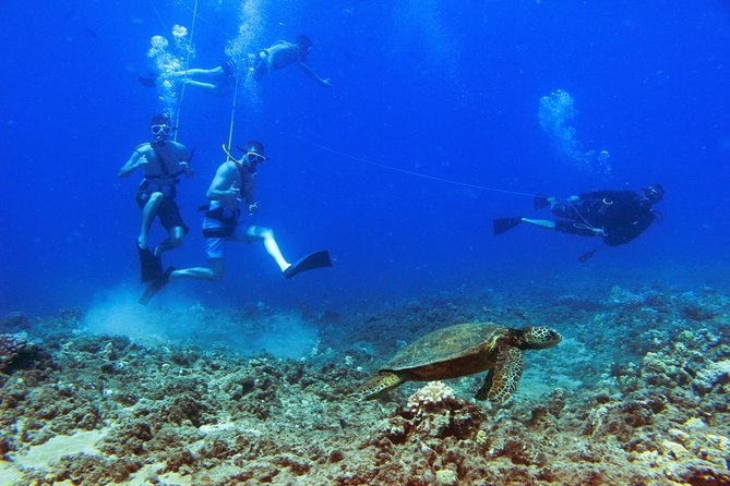 Ko Olina Catamaran Sail and Snorkel with Lunch - Timing, cancellations, and small details that matter