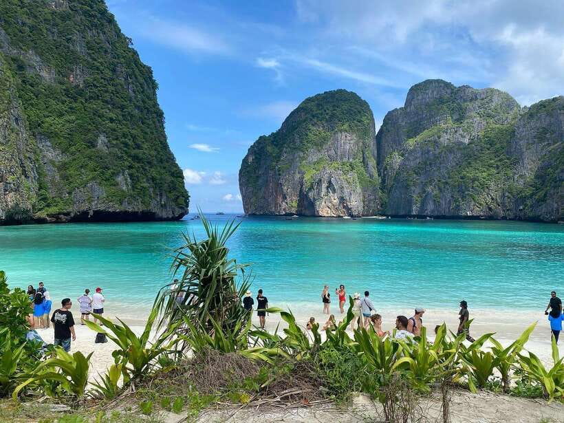 Ko Phi Phi Don: Speedboat Day Trip with Shark Snorkeling - Bioluminescent plankton after dark