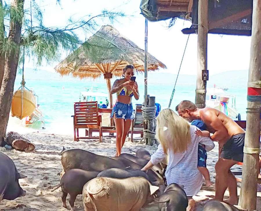Ko Samui: Pig Island Snorkeling and Koh Tan Speedboat Tour - Who will enjoy this tour most