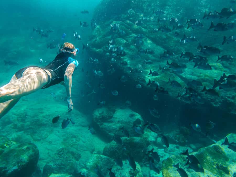 Ko Samui: Unique Ko Tao & Ko Nang Yuan Snorkeling Day Trip - Key points at a glance
