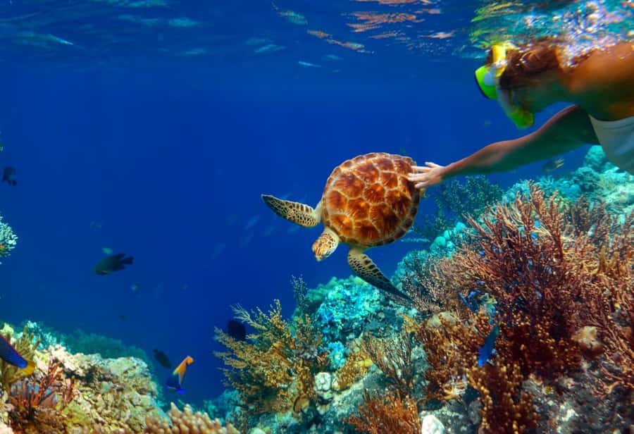 Ko Samui: Unique Ko Tao & Ko Nang Yuan Snorkeling Day Trip - Koh Nang Yuan and the famous island view