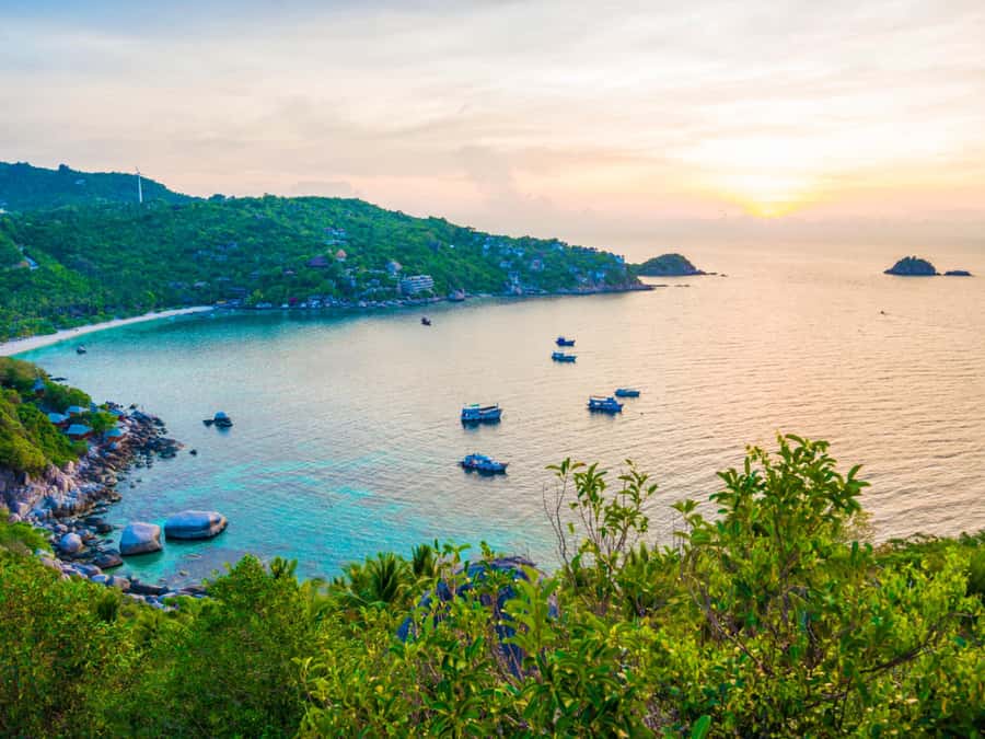 Ko Samui: Unique Ko Tao & Ko Nang Yuan Snorkeling Day Trip - Japanese Garden snorkeling