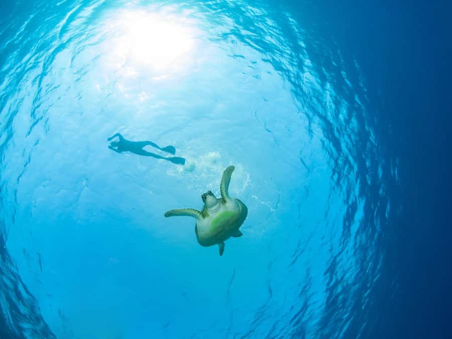 Ko Samui: Unique Ko Tao & Ko Nang Yuan Snorkeling Day Trip - Choosing a Koh Tao snorkeling bay