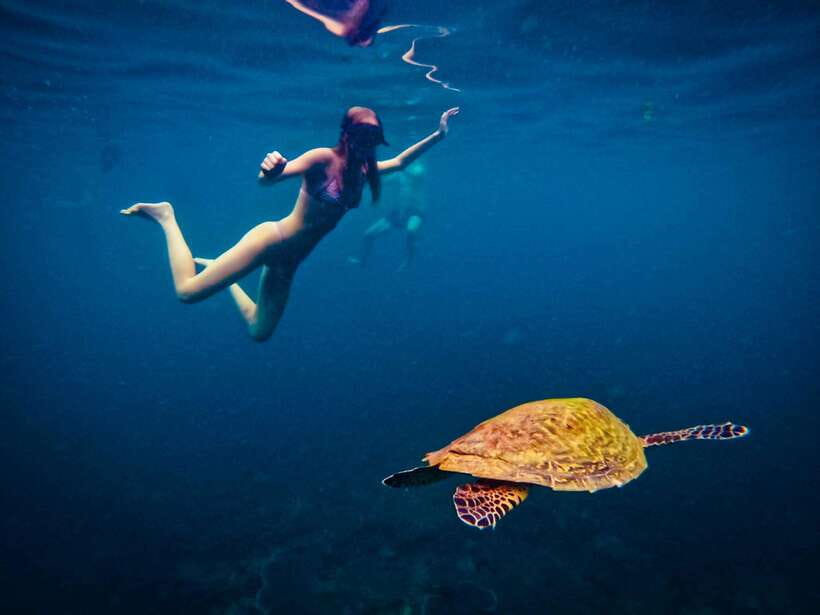 Ko Tao: Late Riser Snorkeling Tour with Lunch and Photos - Who will like this tour most