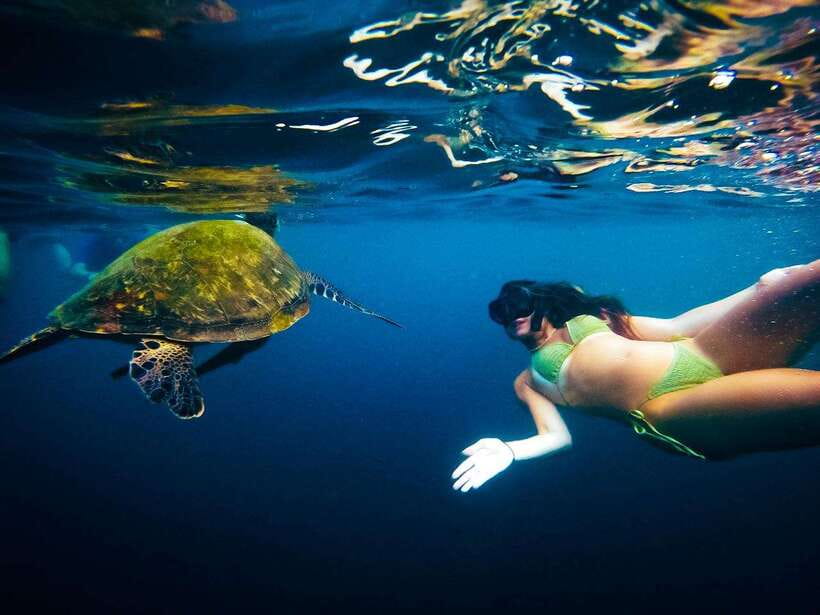 Ko Tao: Late Riser Snorkeling Tour with Lunch and Photos - Coral and fish at Hin Wong Bay