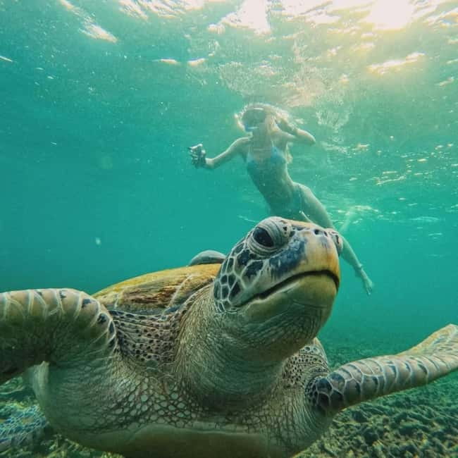 Ko Tao: Tao-Nangyuan Snorkeling Day Trip with Meals & Sunset - Sunset BBQ at Banana Rock
