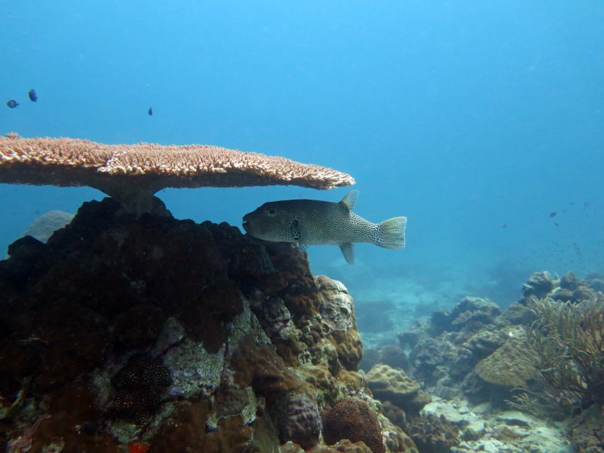 Koh Chang: Snorkeling Trip to Reefs or Wrecks with Lunch - Koh Yak Yai, lunch, and a long middle stop
