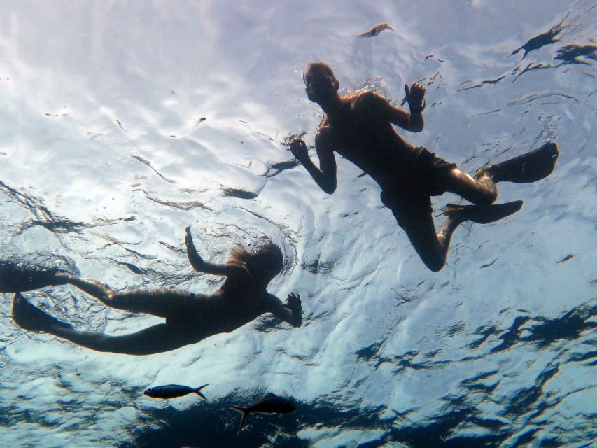 Koh Chang: Snorkeling Trip to Reefs or Wrecks with Lunch - What the guides add to the day