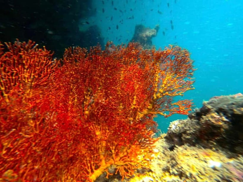 Koh Lanta: 4 Islands and Emerald Cave Snorkeling Trip - Four islands, four different jobs
