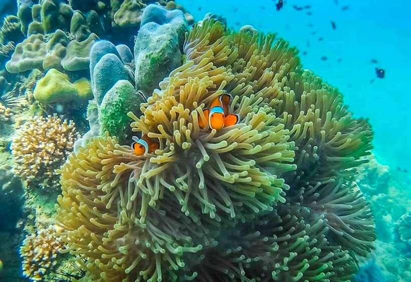 Koh Lanta: 4 Islands and Emerald Cave Snorkeling Trip - Who should book this island trip