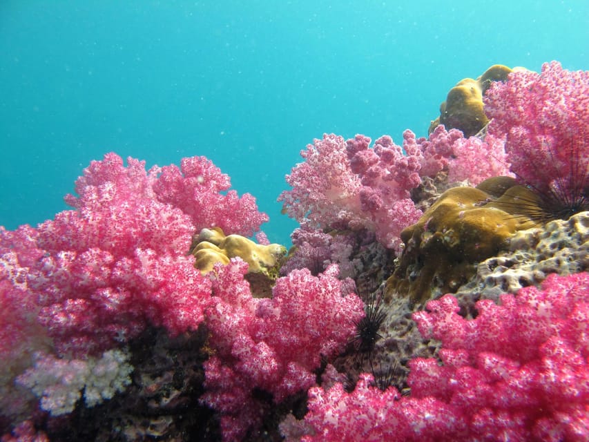 Koh Lipe: 5 Island Snorkeling Trip by Longtail Boat w/ Lunch - Hin Ngam and its black polished stones