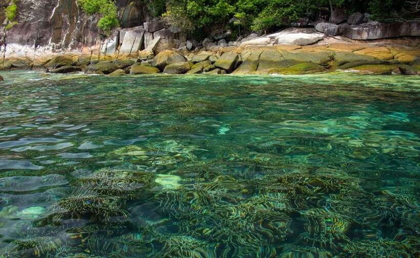 Koh Lipe: 5 Island Snorkeling Trip by Longtail Boat w/ Lunch - Koh Yang brings a different reef
