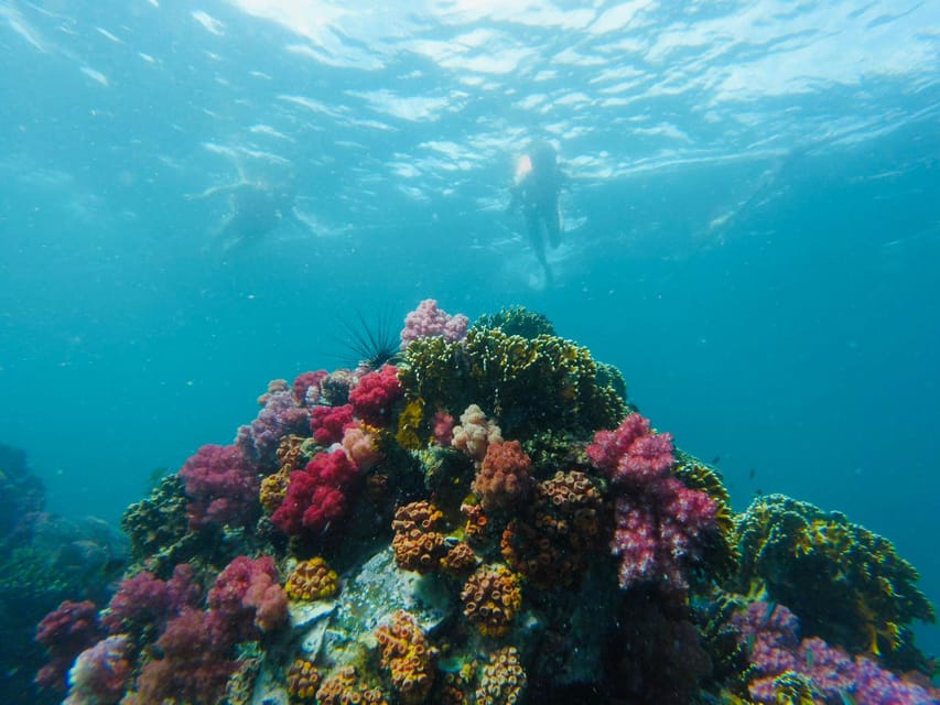 Koh Lipe: 7 Island Snorkeling Trip by Longtail Boat w/ Lunch - Hin Ngam is a black-stone beach, not a place to collect souvenirs