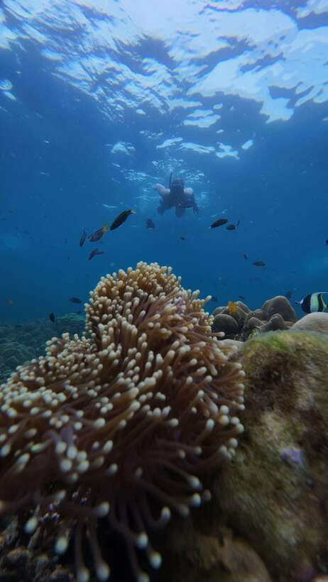 Koh Lipe: Half-Day Snorkeling (Morning/Afternoon/Sunset) - The morning route: four islands before lunch