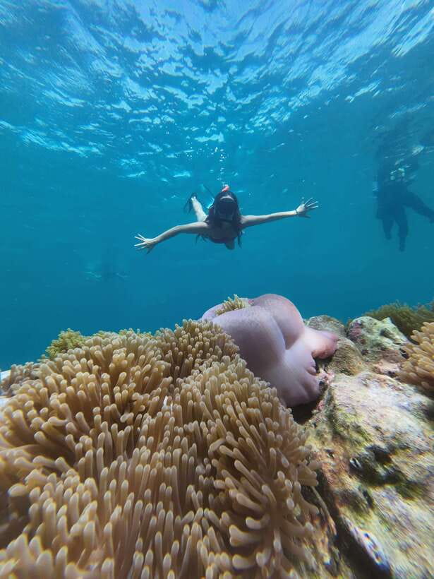 Koh Lipe: Half-Day Snorkeling (Morning/Afternoon/Sunset) - The afternoon route: the widest choice of stops