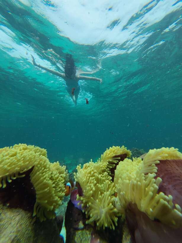 Koh Lipe: Half-Day Snorkeling (Morning/Afternoon/Sunset) - Beaches, black stones, and time out of the water