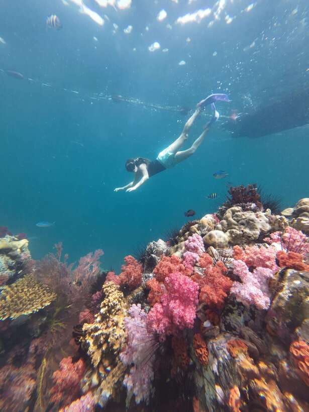 Koh Lipe: Half-Day Snorkeling (Morning/Afternoon/Sunset) - Value at $16 per person