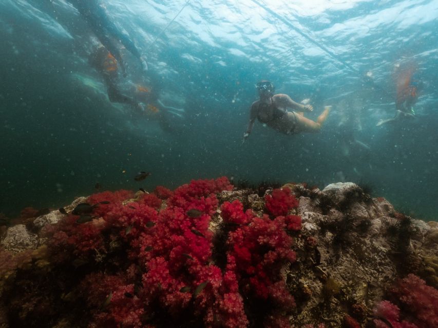Koh Lipe: Longtail Boat Snorkeling Trip Program A - Jabung Island and its seven-color coral