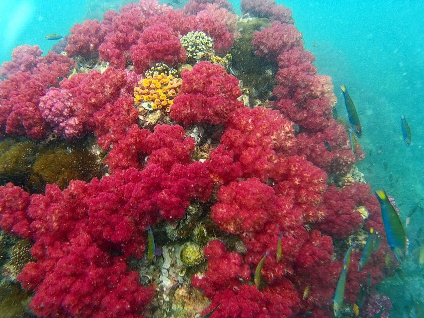 Koh Lipe Snorkeling Trip 6 hours Trip1 - A six-hour route through Koh Lipe’s nearby islands